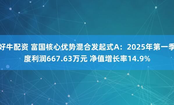 好牛配资 富国核心优势混合发起式A：2025年第一季度利润667.63万元 净值增长率14.9%